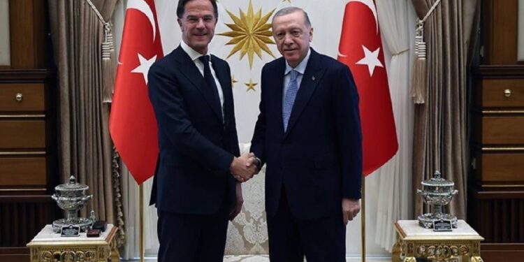 NATO Genel Sekreteri Rutte, Erdoğan’la görüştü