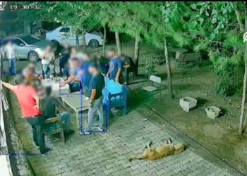 Narin Güran cinayetinde dava dosyasına "aile bireylerinin toplantı görüntüsü" girdi