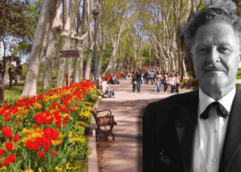 Nazım'ın 'Ceviz Ağacı'ndan Yalnızca Bir Tane Kaldı