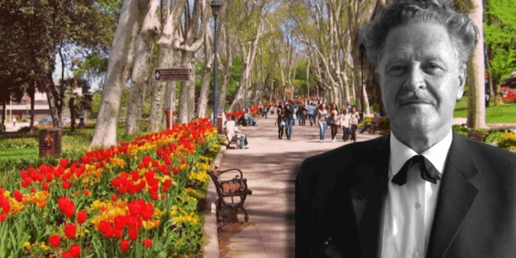 Nazım'ın 'Ceviz Ağacı'ndan Yalnızca Bir Tane Kaldı