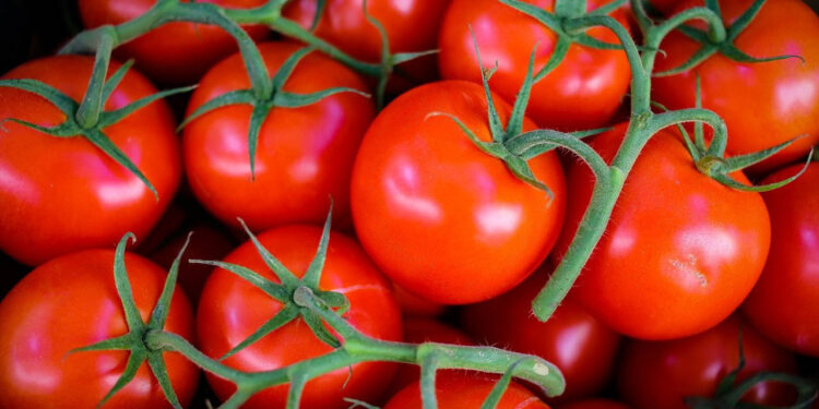 O Ülke Birinciliği Kaptırdı: Zirveye Türkiye Yerleşti