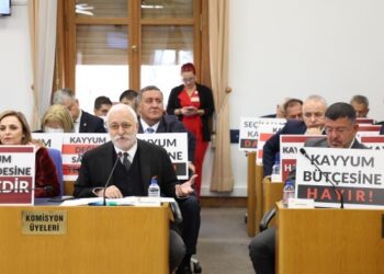 Oluç'tan Sağlık Bakanı Memiş'e 'Yenidoğan Çetesi' tepkisi