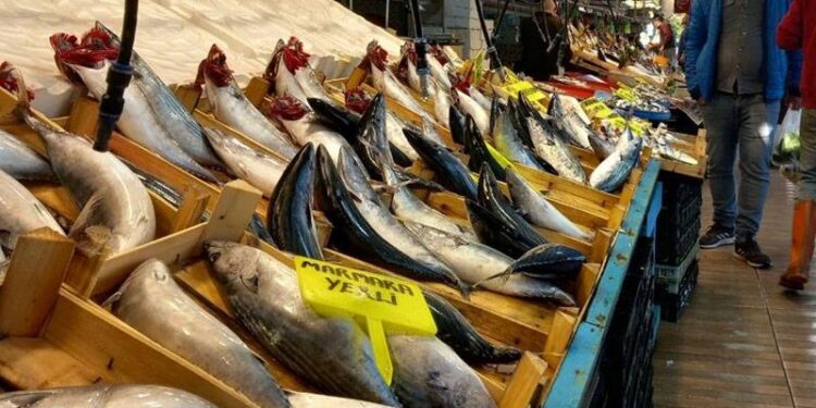 Palamut ucuzladı, hamsi uçtu: İşte İstanbul'da balık fiyatları
