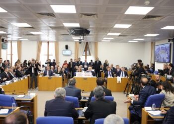 Sağlık alanında anadil hizmeti veren tercüman talebine ret