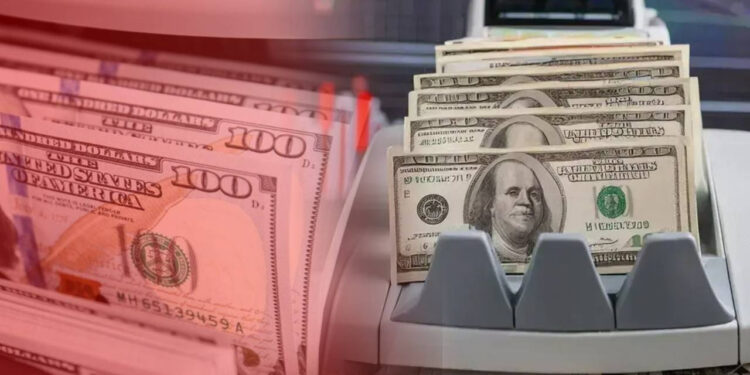 Sahte Doların Perde Arkası... Makinelerin Bile Tespit Edemediği Sahte Dolarlar Hangi Şehirde Fark Edildi?