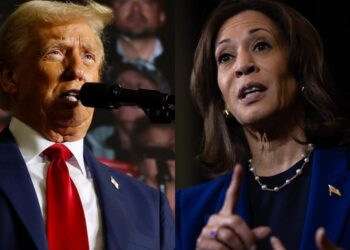 Salıncak eyaletlerde erken seçmenler için sandık çıkış anketleri: Trump ve Harris başabaş