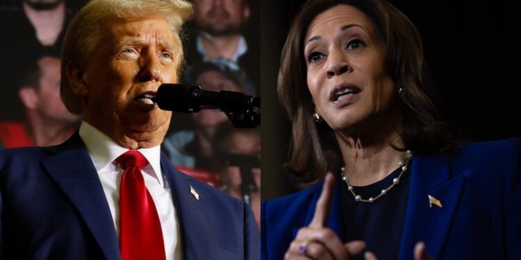 Salıncak eyaletlerde erken seçmenler için sandık çıkış anketleri: Trump ve Harris başabaş