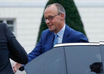 Seçime gidecek Almanya’da AfD’ye kapılar kapalı