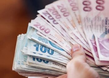 TL mevduatın payında 7 yılın zirvesi görüldü