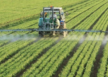 Tarım sektörü çok sayıda zorlukla karşı karşıya