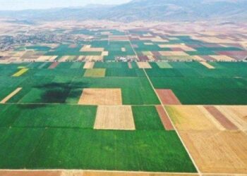 Tarımda kuraklıkla mücadele; su ve enerji tasarrufu sağlayan bilgisayar kontrollü sistem geliştirildi