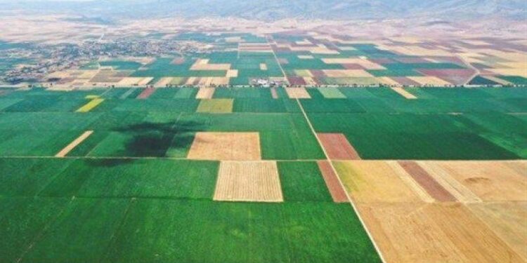 Tarımda kuraklıkla mücadele; su ve enerji tasarrufu sağlayan bilgisayar kontrollü sistem geliştirildi