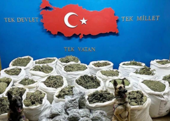 Türkiye'de Son 10 Ayda 17 Ton Uyuşturucu Yakalandı