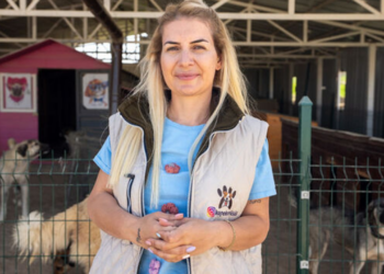 Yaşama Tutunan Patiler Derneği'ne Soruşturma: Başkan Buket Özgünlü ve 8 Kişiye Gözaltı