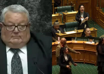 Yeni Zelanda Parlamentosunda İlginç Anlar: Vekillerden Tartışmalı Yasa Tasarısına Haka Danslı Protesto