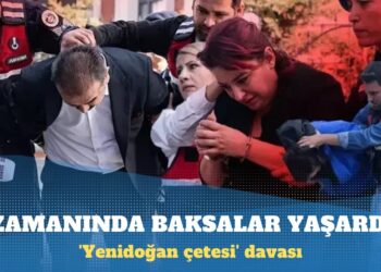 ‘Yenidoğan çetesi’ davası: Bütün özel hastanelerde dönüyor