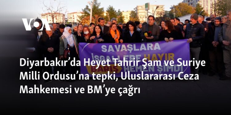 Diyarbakır’da Heyet Tahrir Şam ve Suriye Milli Ordusu’na tepki, Uluslararası Ceza Mahkemesi ve BM’ye çağrı