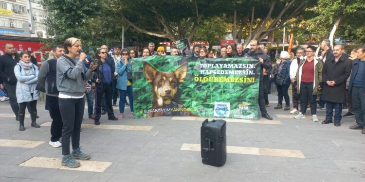 Hayvan hakları savunucularından ‘yan yana gelelim’ çağrısı