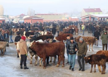 Besiciler: Et ithalatını durdurun, hayvancılığı destekleyin
