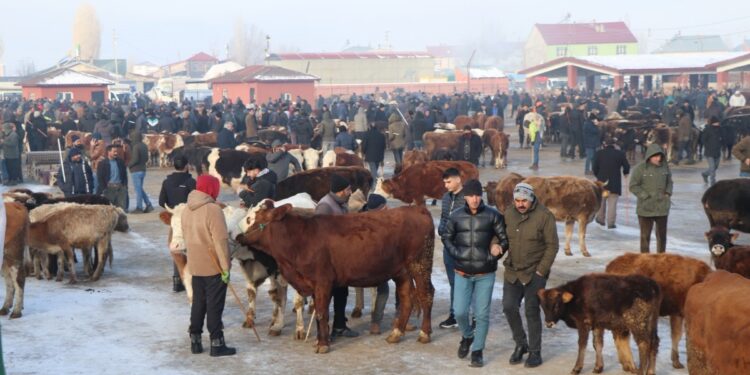 Besiciler: Et ithalatını durdurun, hayvancılığı destekleyin