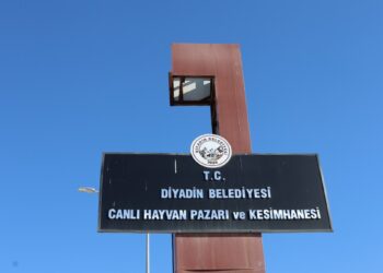 Giyadîn’de hayvan hastalığına karşı seferberlik başlatılıyor