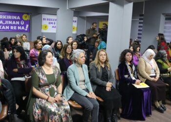 DBP Kadın Meclisi Sözcüsü: Özerk Yönetim’in kazanımlarına saldırmaktan vazgeçin