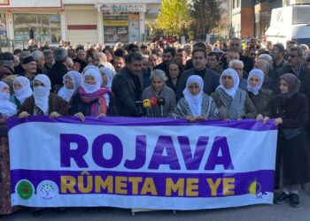 Amed’den çağrı: Direnişi büyütelim, Rojava’ya sahip çıkalım
