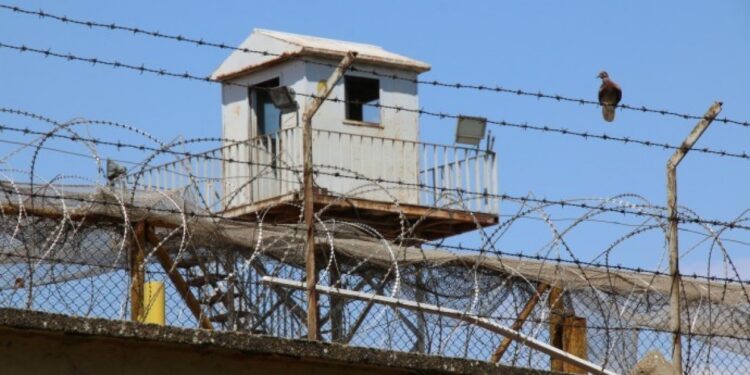 Bakanlık yanıtladı: 11 ayda 709 tutuklu yaşamını yitirdi