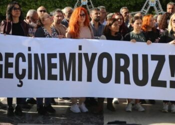 Akademisyen Döğüş: Ağır ekonomik krizin çözümü demokratikleşme