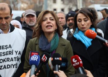 Meral Danış Beştaş: Rojava’ya her saldırı çözüme set çekmektir