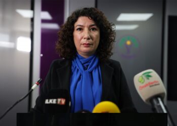 Halide Türkoğlu: Gün Rojava kadın devrimini savunma günüdür