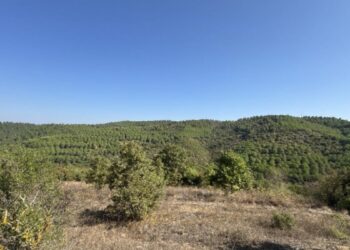 Balıkesir’de planlanan altın madeni için toplantı yapılacak