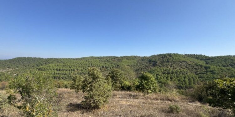 Balıkesir’de planlanan altın madeni için toplantı yapılacak