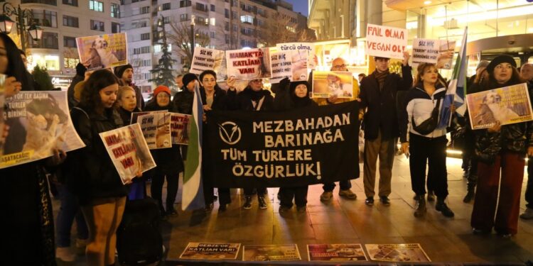Hayvanseverlerden CHP’li belediyelere: Bu kaçıncı katliam?