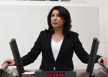 Halide Türkoğlu: SMO çeteleri insanlık suçu işliyor