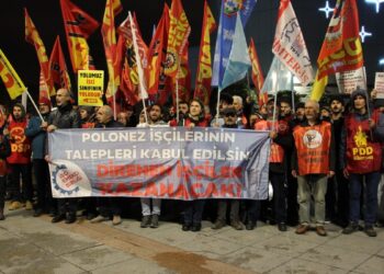 İşçi Emekçi Birliği: Polonez işçisi yalnız değildir