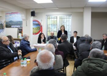 ‘İmralı’daki görüşme tecride karşı mücadelenin sonucudur’