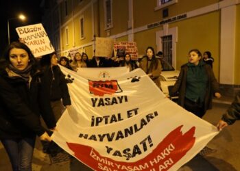 ‘Hayvan katliamı yasası’ protesto edildi