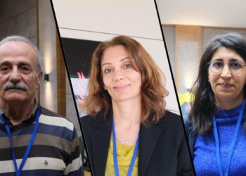 Kürtçe için ortak fikir: Daha fazla bir araya gelinmeli
