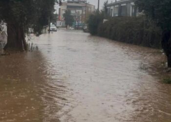 Sağanak yağış Muğla sokaklarını göle çevirdi