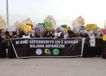 Saliha Aydeniz: Süreç Rojava’nın statüsünün tanınmasıyla başlar