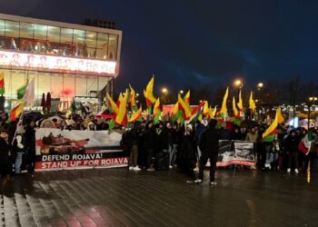 Almanya ve Avusturya’daki eylemlerde uluslararası dayanışma çağrısı