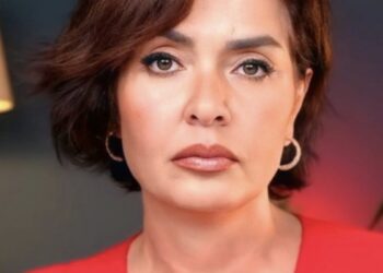 Gazeteci Özlem Gürses gözaltına alındı