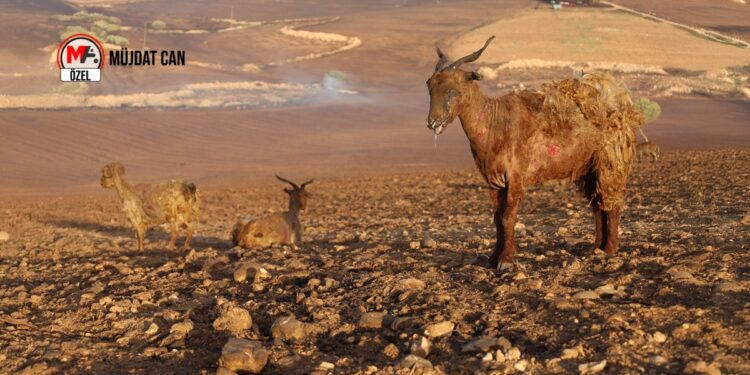 15 kişi yaşamını yitirmişti: Bilirkişiden ‘Haziran ayında yıldırım düştü’ iddiası