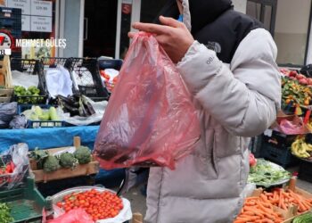 Ekonomik krizin fotoğrafı: Sadece 1 patlıcan alabildi