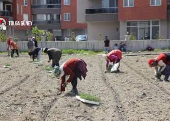 Tarıma ayrılan bütçe çiftçinin değil şirketlerin cebine gidiyor