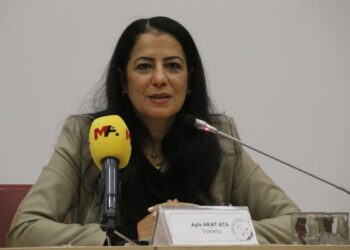 Ayla Akat Ata: Özerklik en uygun sistemdir