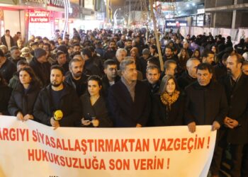 Wan Emek ve Demokrasi Platformundan kayyım açıklaması