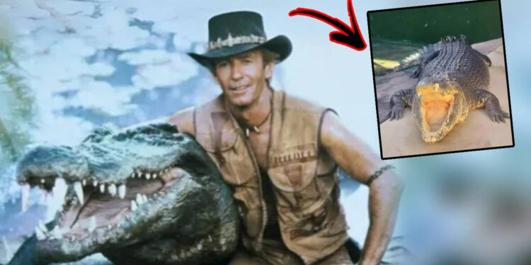 1986 Yılına Damga Vurmuştu! Dünyanın En Ünlü Timsahı Hayatını Kaybetti