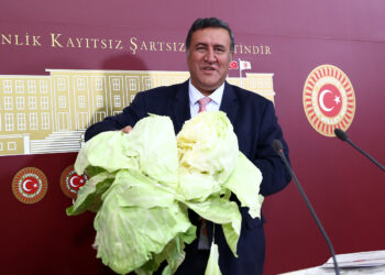 2024 tarımın kara yılı oldu